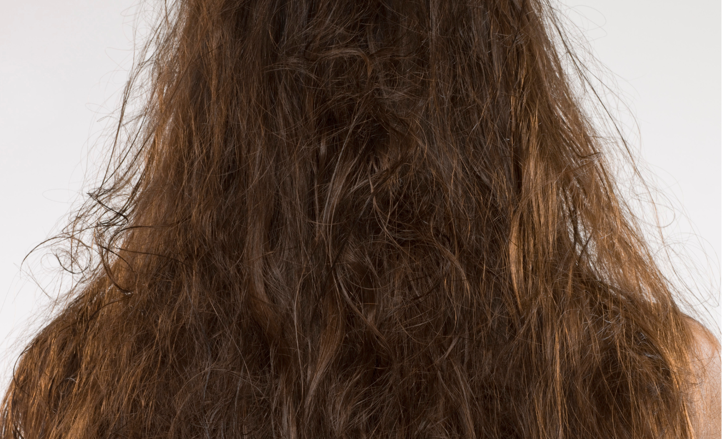 Frizzy roots straight outlet hair