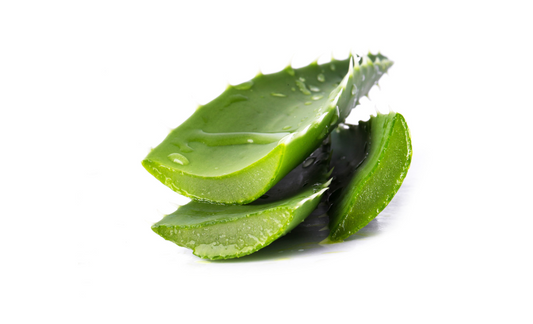 Decoding the Benefits Of Aloe Vera For your Hair (Monsoon Edition)